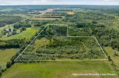 12 Cedarbrook Drive Georgina Ontario L0E 1N0