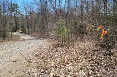 LOT 32 Concession 11 N/A Huntsville Ontario P1H 2J6