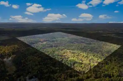 Highway 60 N/A North Algona Wilberforce Ontario K0J 1T0