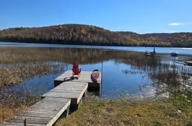 294 Albion Lake Drive Faraday Ontario K0L 1C0