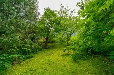 59 Hearn Avenue Guelph Ontario N1H 5Y6