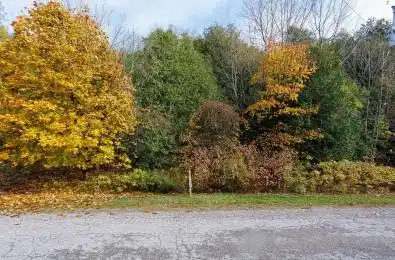 LT 17 PL 594 COURTNEY Court Ashfield-Colborne-Wawanosh Ontario N2Z 2X3