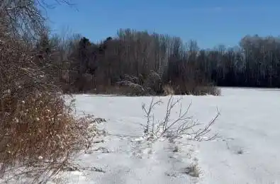 1306 Sulphide Road Tweed Ontario K0K 3J0