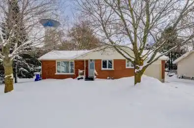 29 John Street Minto Ontario N0G 1M0