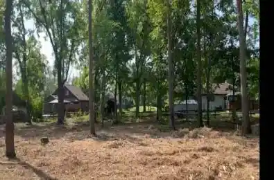 2847 Maple Avenue Fort Erie Ontario L0S 1N0