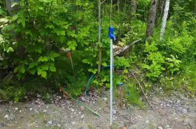 Lot 52 Tiny Beaches Road Tiny Ontario L9M 0H8