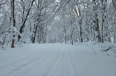 462 Cardwell Lake Road Huntsville Ontario P1H 1E7