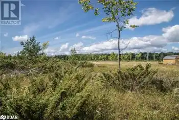 250 MCGUIRE BEACH Road Unit# LOT, Kawartha Lakes, Ontario K0M2B0, ,Commercial,For Sale,MCGUIRE BEACH,40469331