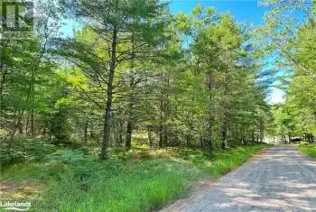 TOM COOPERS Road, Carling, Ontario L8R1X2, ,Commercial,For Sale,TOM COOPERS,40452028