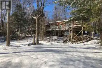 11 Fire Route 27, Galway-Cavendish and Harvey, Ontario K0L1J0, 3 Bedrooms Bedrooms, ,2 BathroomsBathrooms,All Houses,For Sale,Fire Route 27,X8067028