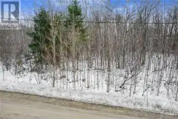 LEGREE Street, Calabogie, Ontario K0J1H0, ,Commercial,For Sale,Calabogie Peaks,LEGREE,1380285