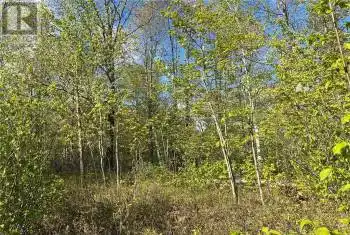 Lot 6 CASSON Trail Unit# LOT, Madawaska Valley, Ontario K0J1B0, ,Commercial,For Sale,Chippawa Shores,CASSON,X9515401