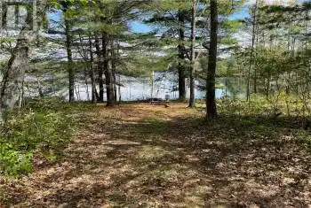 Lot 15 SANDY SHORES Trail Unit# Lot, Combermere, Ontario K0J1L0, ,Commercial,For Sale,Chippawa Shores,SANDY SHORES,1379590