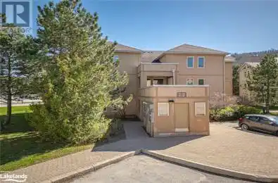 169 Boulevard Unit 204 The Blue Mountains Ontario L9Y3Z2