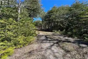 32 HIGHWAY 6 Unit# LOT, South Bruce Peninsula, Ontario N0H2T0, ,Commercial,For Sale,HIGHWAY 6,40581108