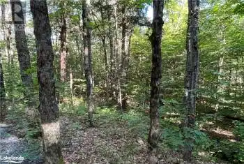 90 LOOKOUT POINT Road Unit# LOT, Huntsville, Ontario P1H2J2, ,Commercial,For Sale,LOOKOUT POINT,40560843