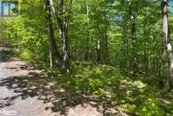 40 SUNSET Ridge Unit# LOT, Huntsville, Ontario P1H2J2, ,Commercial,For Sale,SUNSET,40560832