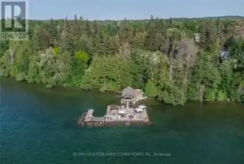 30 Turner Street, Georgina (Historic Lakeshore Communities), Ontario L0E1P0, 9 Bedrooms Bedrooms, ,8 BathroomsBathrooms,All Houses,For Sale,Turner,N8398902