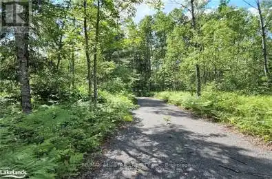 1075 Road Lake of Bays Ontario P0A1H0