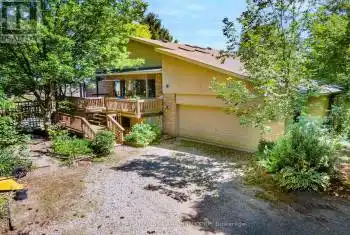 34639 Third Line, Southwold (Southwold Town), Ontario N0L2G0, 4 Bedrooms Bedrooms, ,2 BathroomsBathrooms,Commercial,For Sale,Third,X8451332