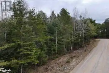 OLD MUSKOKA Road Unit# Lot, Emsdale, Ontario P0A1J0, ,Commercial,For Sale,OLD MUSKOKA,40568412