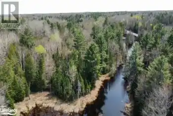 BOBCAYGEON Road, Algonquin Highlands, Ontario K0M2K0, ,Commercial,For Sale,BOBCAYGEON,X10895351