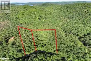 SUNSET PASS Road Unit# Lot, Katrine, Ontario P0A1L0, ,Commercial,For Sale,SUNSET PASS,40611447