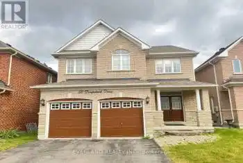 50 Danpatrick Drive, Richmond Hill (Rouge Woods), Ontario L4S2S7, 5 Bedrooms Bedrooms, ,5 BathroomsBathrooms,All Houses,For Rent,Danpatrick,N9016112