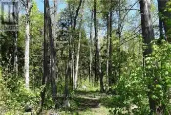 Lot E21 Es Nippissing Ridge Road, Tiny, Ontario L9M0H6, ,Commercial,For Sale,Nippissing Ridge,S8188796