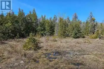 LOT 2 SPRY Road Unit# LOT, Northern Bruce Peninsula, Ontario N0H1W0, ,Commercial,For Sale,SPRY,X8341870