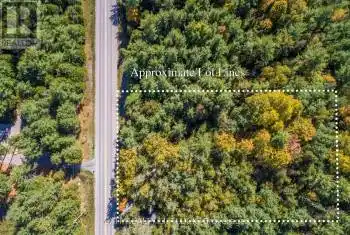 592 County Rd 40, Asphodel-Norwood (Norwood), Ontario K0L2V0, ,Commercial,For Sale,County Rd 40,X9040221