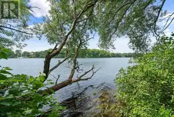 PT LOT3 Cressy Bayside Rd, Prince Edward County, Ontario K0K 2T0, ,Commercial,Sold,Cressy Bayside,X9054144