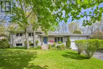 45 French Cres Unit# Bsmt, East Gwillimbury, Ontario L9N 1J8, 2 Bedrooms Bedrooms, 4 Rooms Rooms,1 BathroomBathrooms,All Houses,Rented,French,N9231110