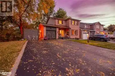 203 Street Alliston Ontario L9R1W8