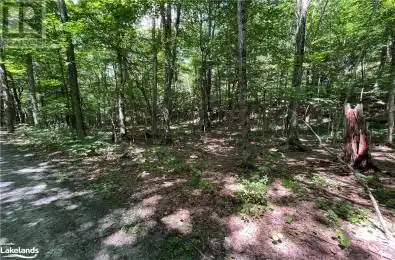 134 Circle Unit LOT Huntsville Ontario P1H2J2