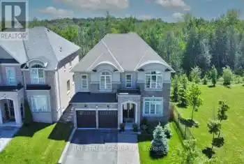 15 Manor Forest Rd, East Gwillimbury, Ontario L0G 1M0, 5 Bedrooms Bedrooms, 11 Rooms Rooms,5 BathroomsBathrooms,All Houses,Sold,Manor Forest,N9250376