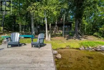 430 Island 7 Stoney Lake, Douro-Dummer, Ontario K0L2H0, 2 Bedrooms Bedrooms, ,1 BathroomBathrooms,All Houses,For Sale,Island 7 Stoney Lake,X9304668