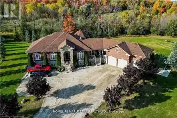 8840 HIGHWAY 89, Adjala-Tosorontio, Ontario L9R1V1, 6 Bedrooms Bedrooms, ,4 BathroomsBathrooms,All Houses,For Sale,HIGHWAY 89,40645532