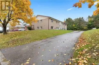 256 Drive Simcoe Ontario N3Y1G8