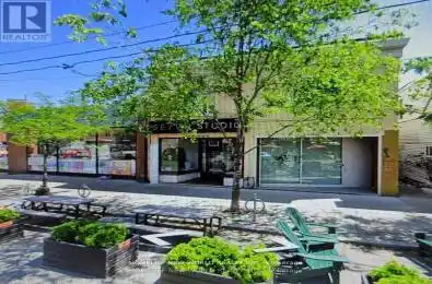 817 Dundas Street Toronto (Trinity-Bellwoods) Ontario M6J1V4