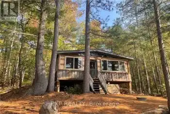 378 SPECTACLE LAKE Road, Madawaska Valley, Ontario K0J1B0, 3 Bedrooms Bedrooms, ,1 BathroomBathrooms,All Houses,For Sale,Spectacle Lake,SPECTACLE LAKE,X9521534