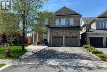 112 Harbourtown Crescent Unit# Bsmt, Brampton (Madoc), Ontario L6V4P5, 2 Bedrooms Bedrooms, ,1 BathroomBathrooms,All Houses,For Rent,Harbourtown,W9390286