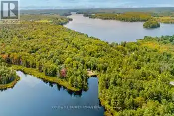 1187 Windermere Route, Muskoka Lakes, Ontario P0B1M0, ,All Houses,For Sale,Windermere,X9392980