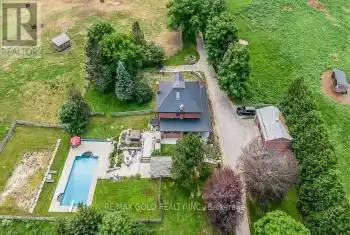 10258 Highway 9, Adjala-Tosorontio, Ontario L0G1L0, 4 Bedrooms Bedrooms, ,3 BathroomsBathrooms,All Houses,For Rent,Highway 9,N9394128