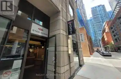 7 Mercer Street Toronto (Waterfront Communities) Ontario M5V1H2