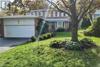 217 Orchard Heights Boulevard, Aurora (Aurora Heights), Ontario L4G4S4, 4 Bedrooms Bedrooms, ,3 BathroomsBathrooms,All Houses,For Rent,Orchard Heights,N9418961