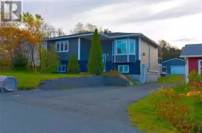 3 Swansborough Heights Conception Bay South Newfoundland & Labrado