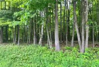 Lot 2 POINT Road Unit# LOT, McNab/Braeside, Ontario K0A3L0, ,Commercial,For Sale,White Lake,POINT,X9519485