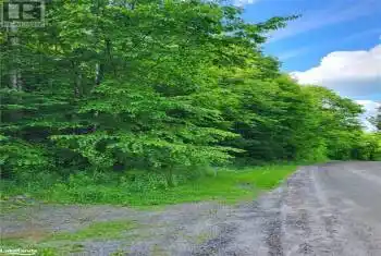 HAINES LAKE Road, McDougall, Ontario P2A0B3, ,Commercial,For Sale,HAINES LAKE,X10438057