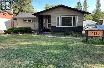 207 Dominion ROAD Assiniboia Saskatchewan S0H0B0